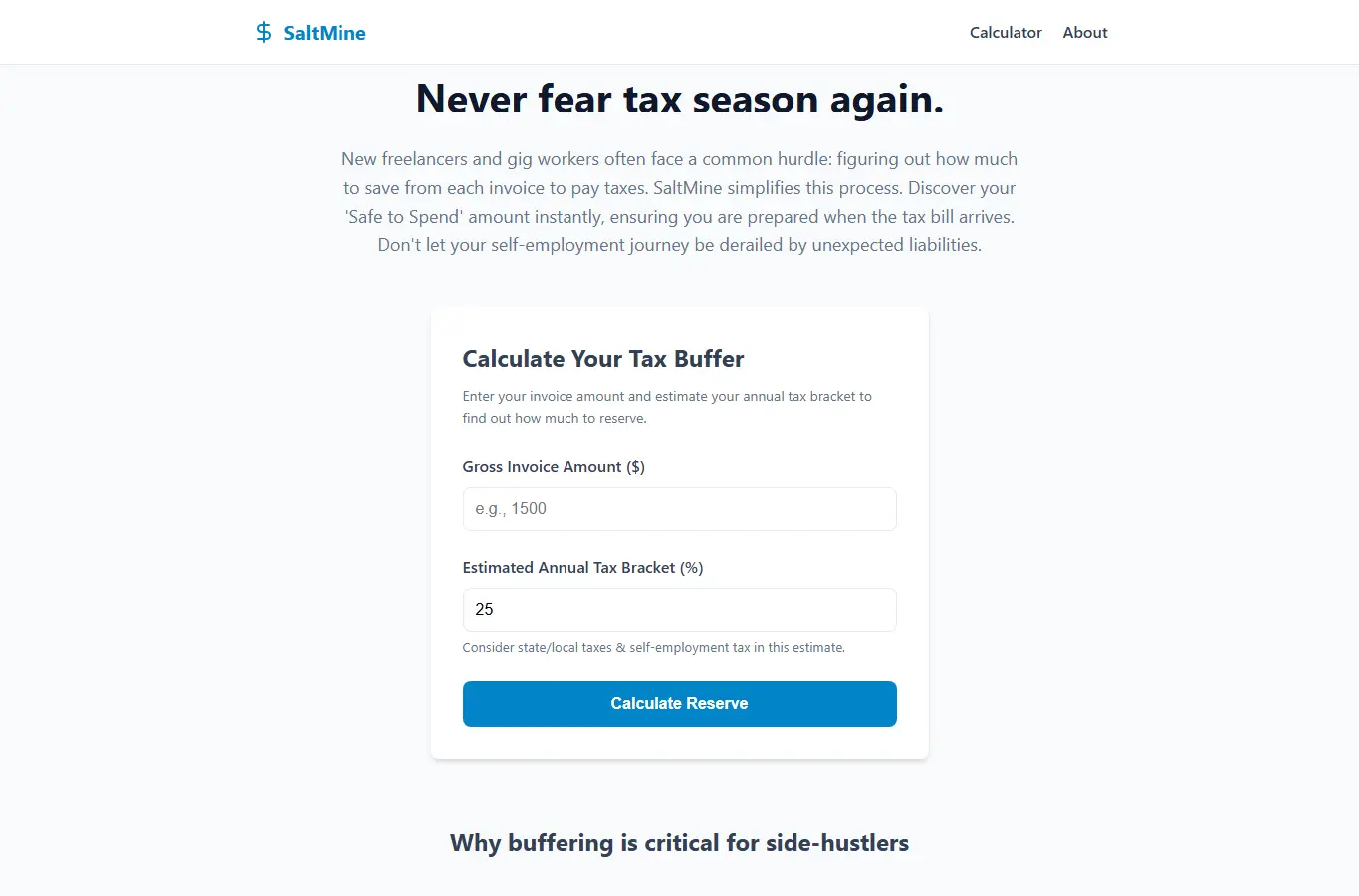 Screenshot of SaltMine: Sole Trader Tax Reserve interface showing the project page in use